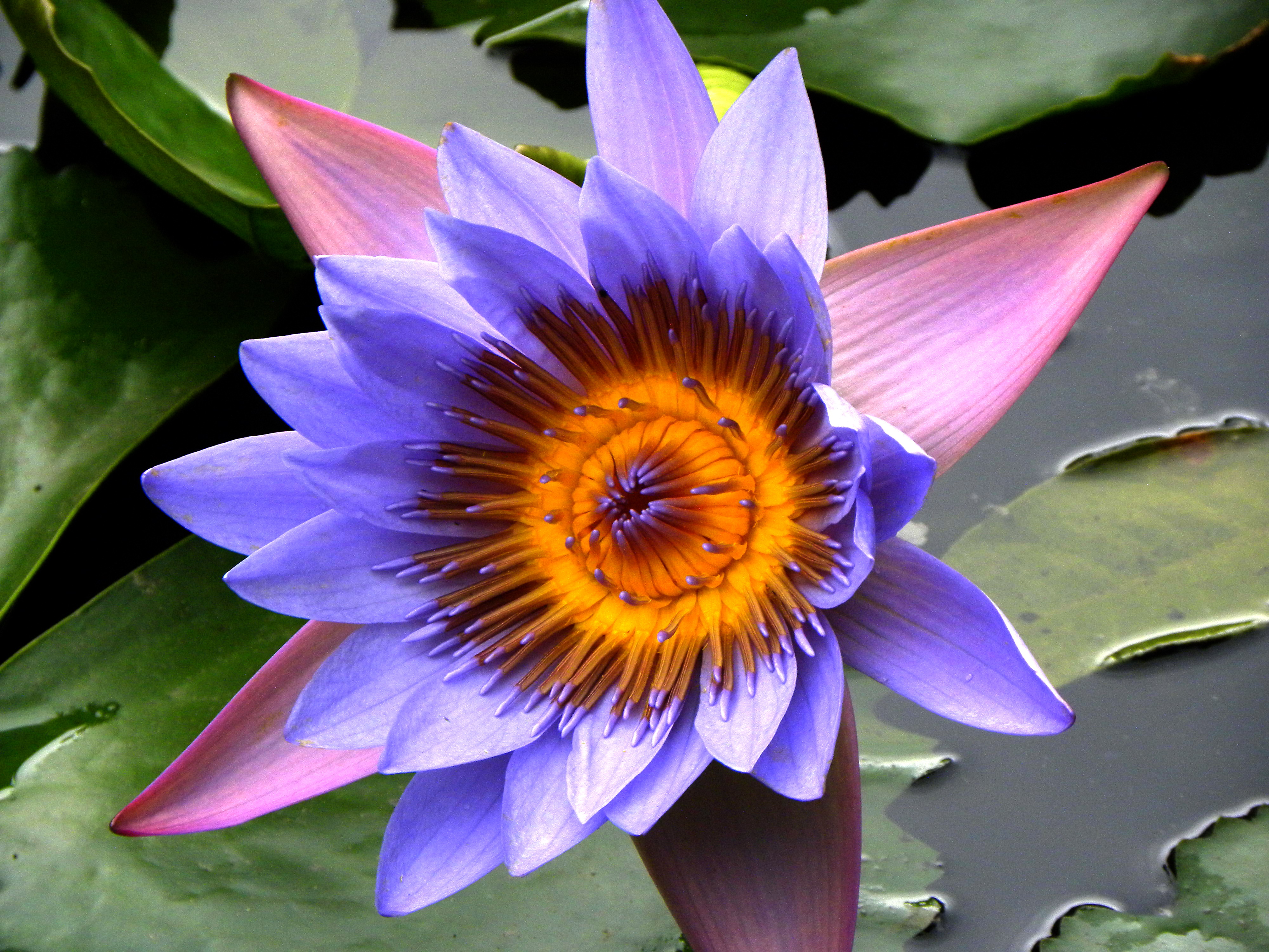 DSCN2067