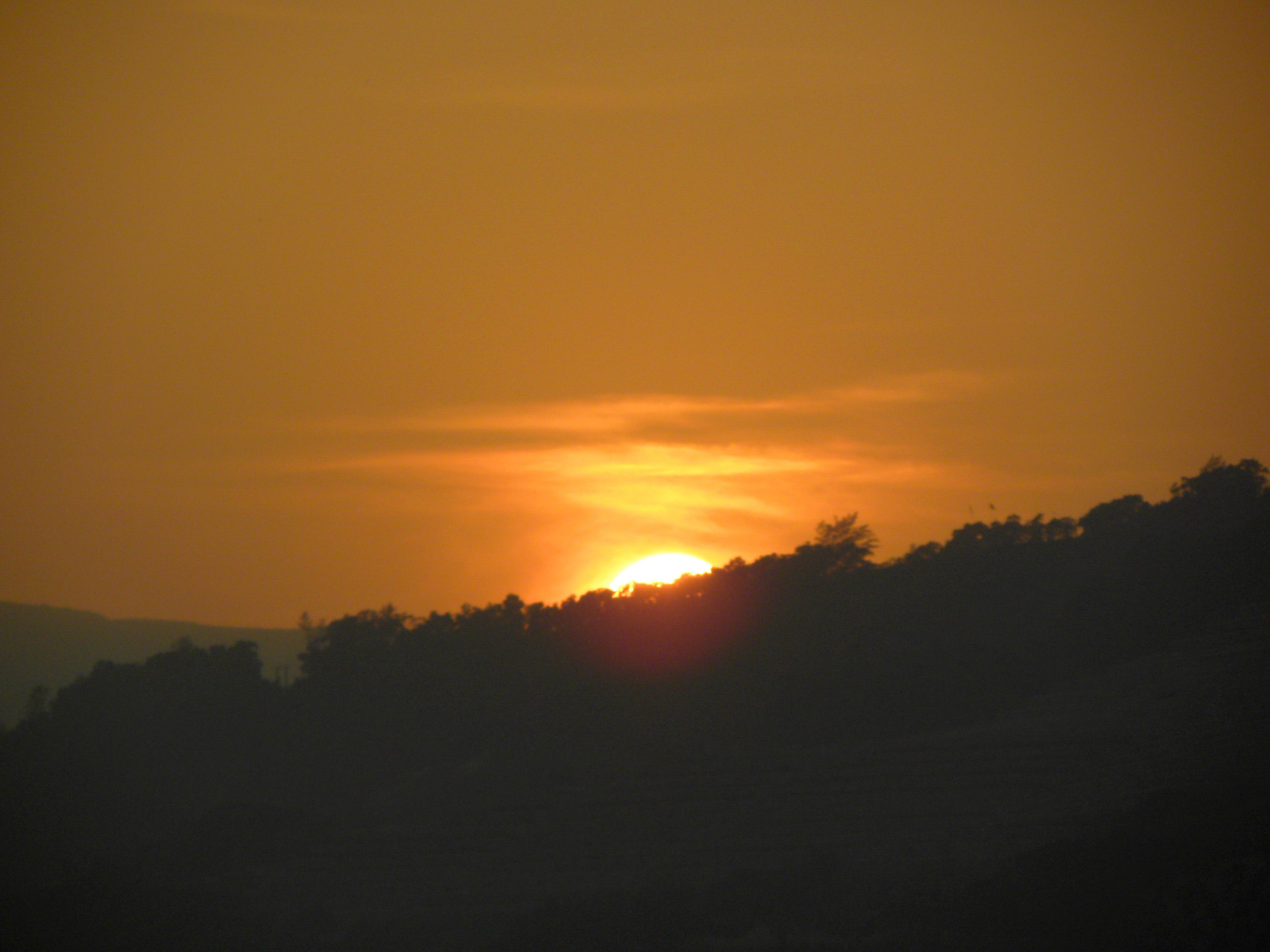 DSCN2682