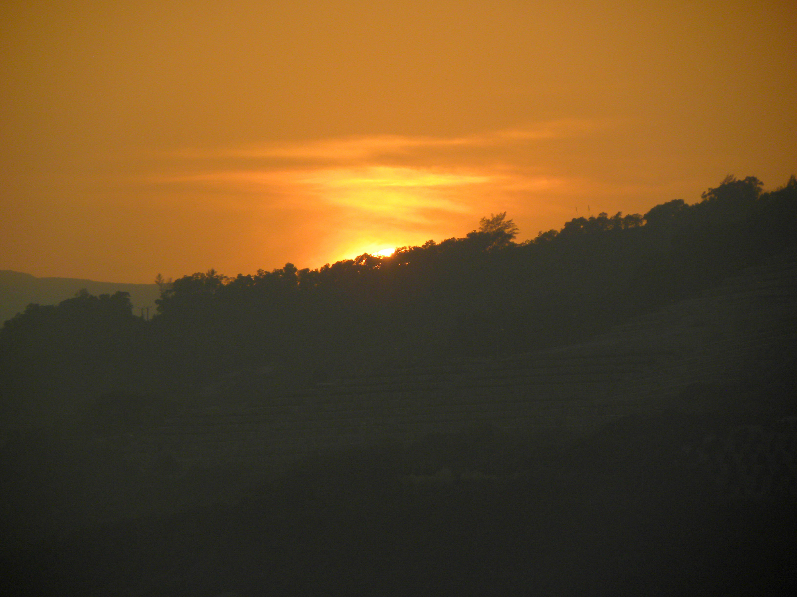 DSCN2685