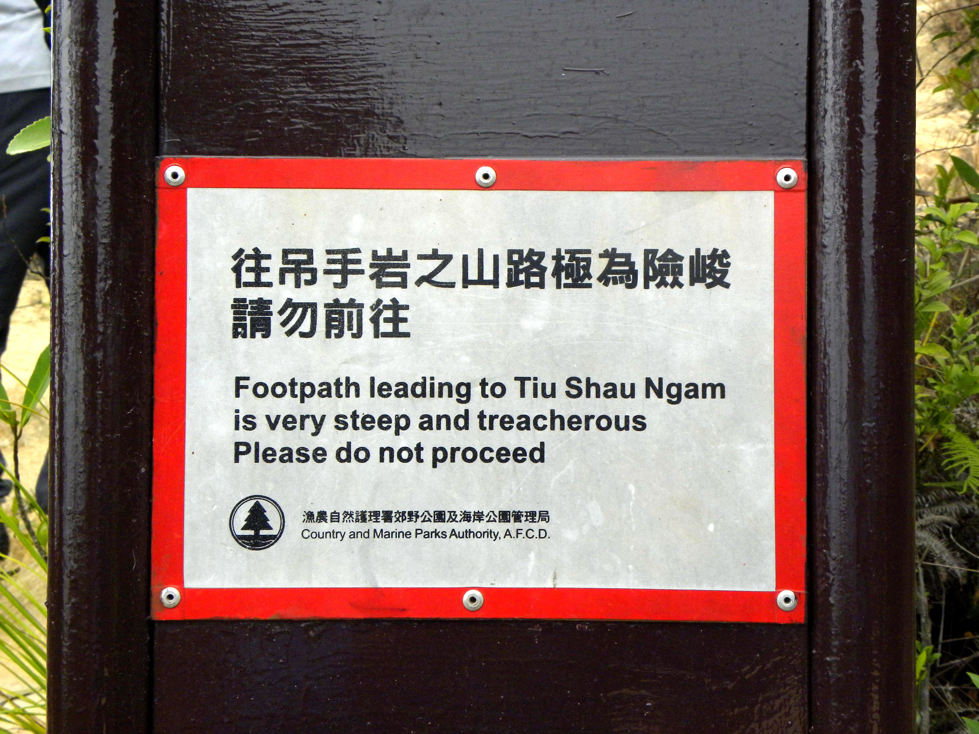 DSCN3133