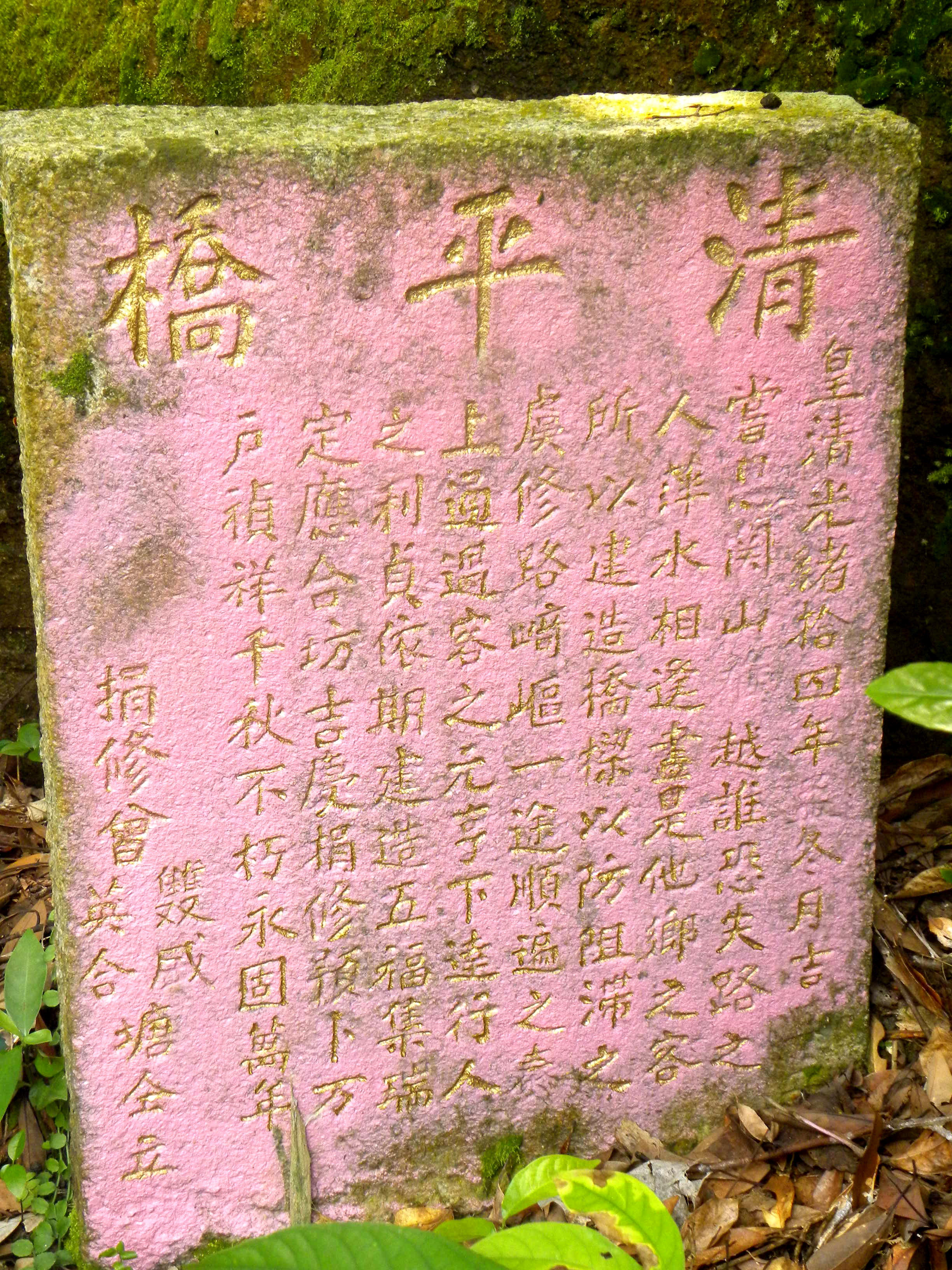 DSCN4527