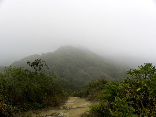 DSCN8033