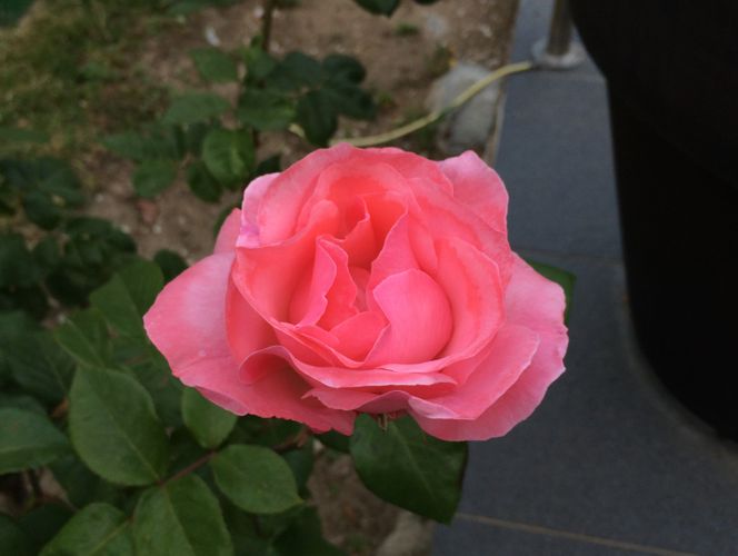2015-05-11 07.02.28
