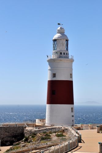 DSC_0707
