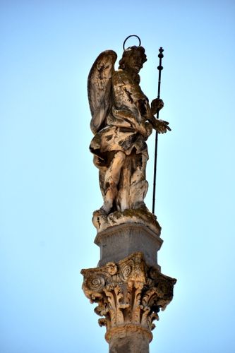 DSC_1100