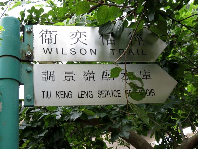 IMG_2381